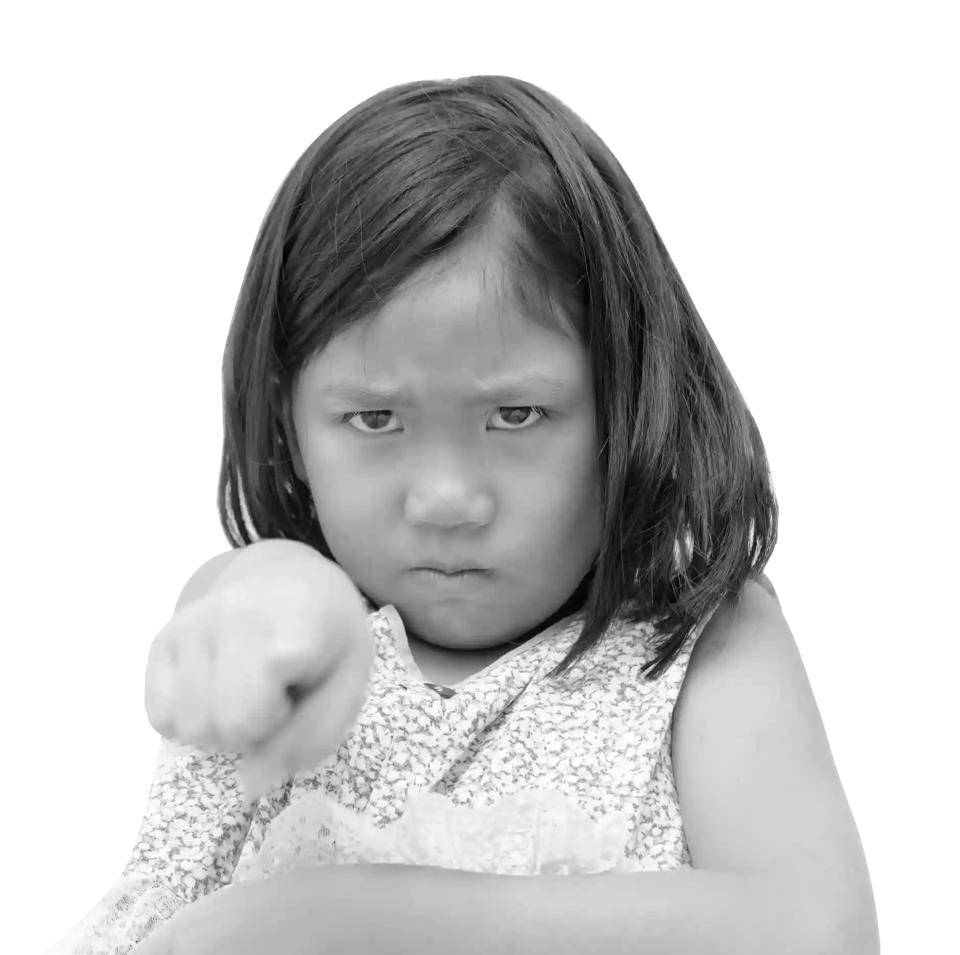 CognitiveMAP CogMap Testi